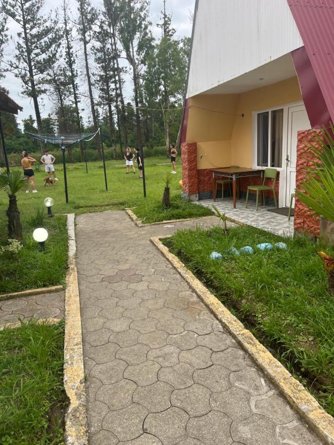 Apartment Guria Street Between 24- 26 Georgia Olympia Ureki